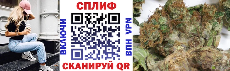 Магазины продажи наркотиков Талдом Псилоцибиновые грибы ГАШ