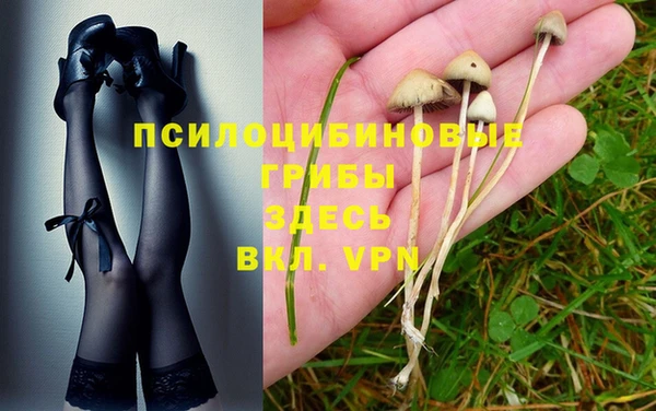 прущая мука Баксан