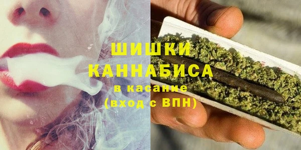 spice Белокуриха