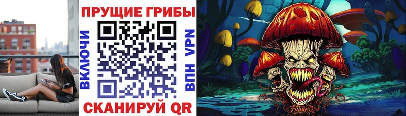 Псилоцибиновые грибы GOLDEN TEACHER Талдом